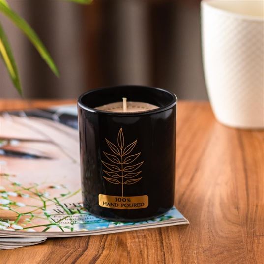 The Fern Aroma Candle