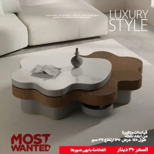 Modern Cloud-Shaped Coffee Table – Light Luxury with Hidden Storage