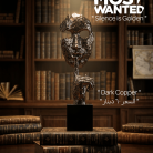 _Silence is Golden _contemporary-zen-meditation-spaceaesthetic-peacefu__41091 (4)