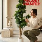 671652685_1388546123318160_9007620128379729741_n