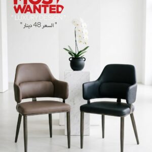 The Pinnacle of Modern Elegance: Upgrade Your Space with "Luxury Design" Chairs for Unmatched Comfort!